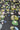 A close-up of a dark charcoal gray fabric featuring a retro mid-century modern floral pattern with green, pink, yellow, and blue botanical motifs.