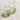 Green and white checkered circular drop earrings with thin silver hoop backings, 