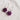 magenta pip  earrings